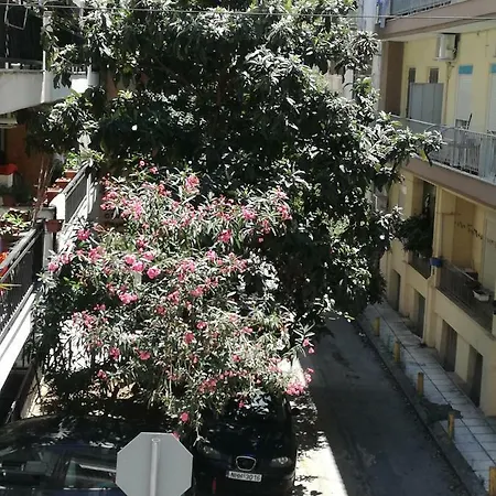Seg Gold Apartment